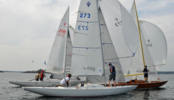 Neppare 273 Svanen