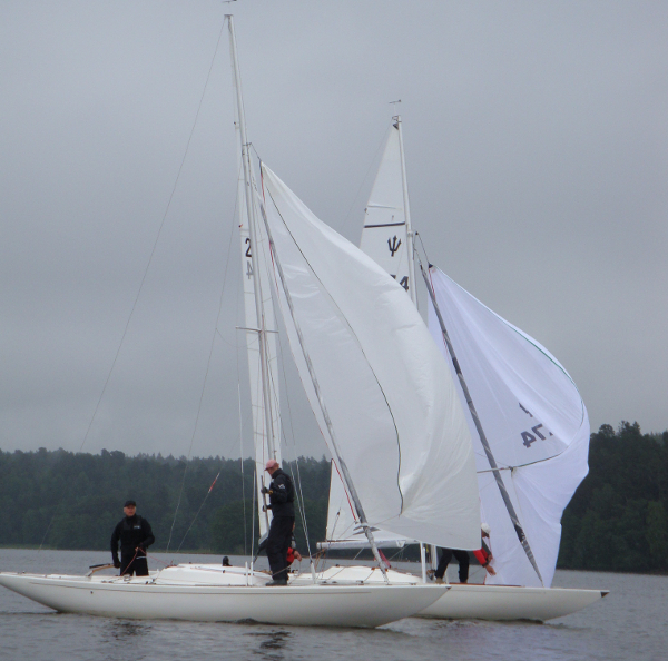 Spinnaker