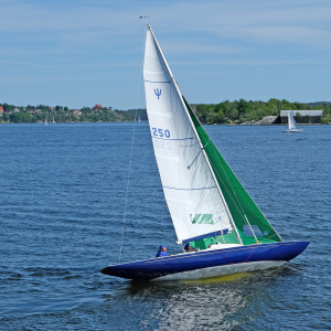 250